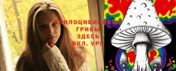 МДМА Арсеньев